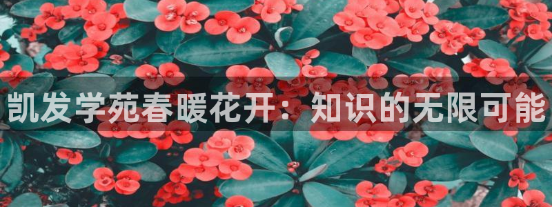 开心彩主管：凯发学苑春暖花开：知识的无限可能