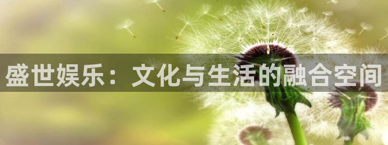 开心彩登录注册：盛世娱乐：文化与生活的融合空间