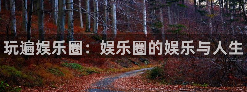 开心彩体育凯捷平台招商：玩遍娱乐圈：娱乐圈的娱乐与人生