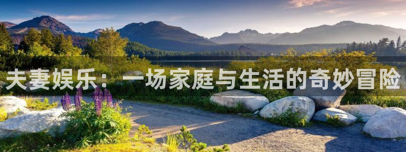 开心彩2体育：夫妻娱乐：一场家庭与生活的奇妙冒险