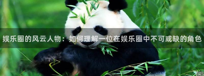 福建开心彩机电股份公司：娱乐圈的风云人物：如何理解一位在娱乐圈中不可或缺的角色