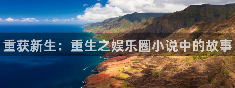 上海开心彩汽车电子有限公司：重获新生：重生之娱乐圈小说中的故事