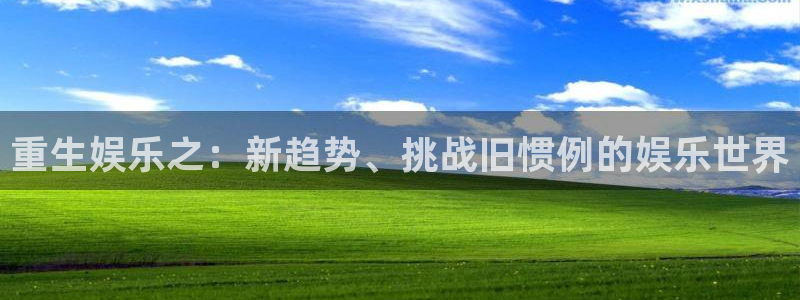 开心彩4：重生娱乐之：新趋势、挑战旧惯例的娱乐世界
