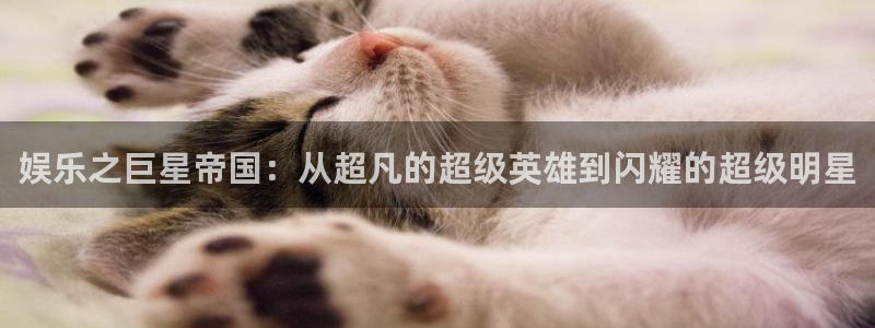 上海开心彩汽车电子有限公司：娱乐之巨星帝国：从超凡的超级英雄到闪耀的超级明星