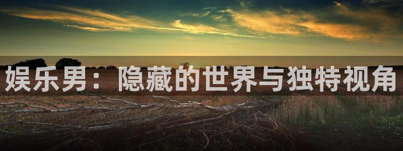 开心彩平台招商：娱乐男：隐藏的世界与独特视角
