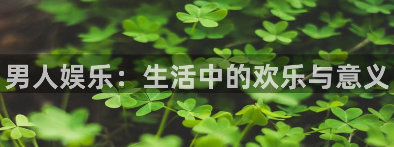 福建开心彩机电股份公司：男人娱乐：生活中的欢乐与意义