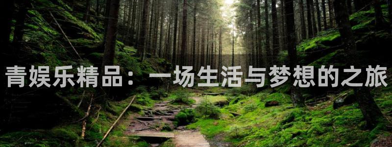 开心彩体育eon：青娱乐精品：一场生活与梦想的之旅