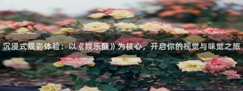 开心彩平台在线注册：沉浸式观影体验：以《娱乐酥》为核心，开启你的视觉与味觉之旅