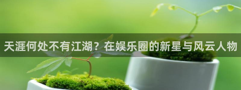 开心彩体育官网：天涯何处不有江湖？在娱乐圈的新星与风云人物